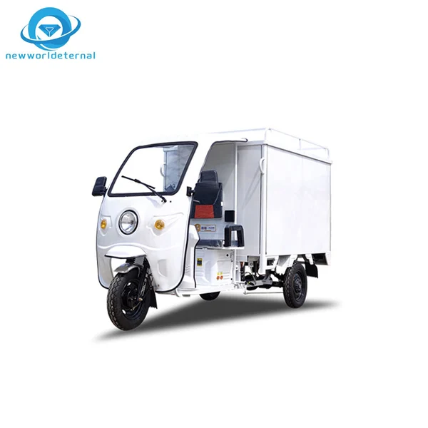 Zen Export Discounts Electric Tricycle  Three-wheeler Accessories 3 Wheels with Canopy Cargo Trike Motorcycle