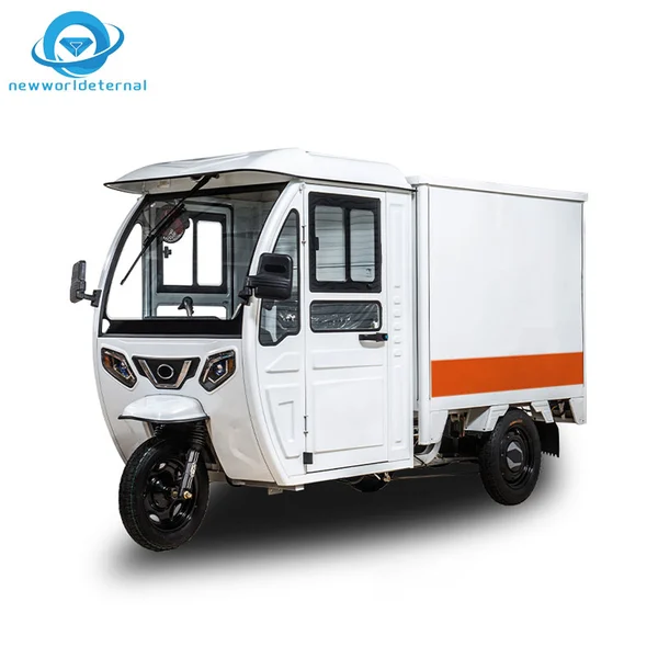 19- Loading 3 Wheels Motorcycle Trike Adults  Three-wheeler Overseas Cargo Export Discounts Electric Tricycle