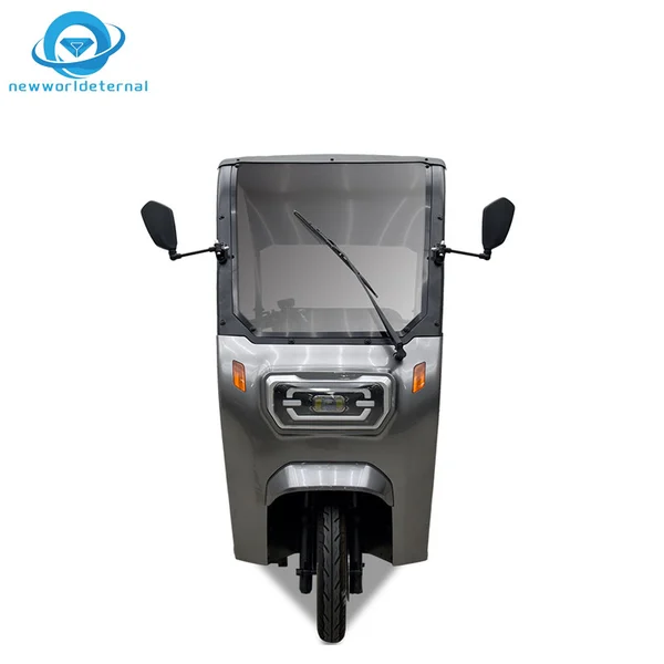 T223 Three-wheeler Motor Cycle Export Electric Tricycle Small Size   Passenger Three-wheeler Motorcycle Trike Overseas Warehouse
