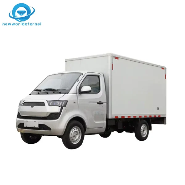 F21 Four Wheels  Portable  Electric Four-wheeler Four-wheeler  Export Overseas New Energy Cars Quadricycle Cargo Loading