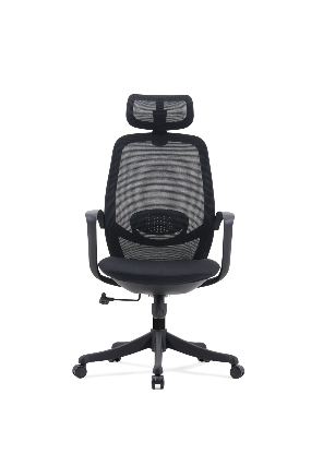 Mesh chair , staff chair ,swivel chair 