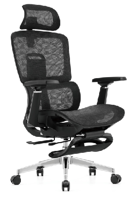 ergonomic chair , high-end chair 