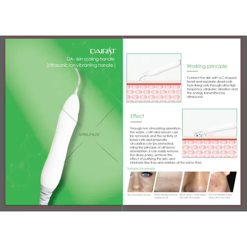 Korea  SKIN DETOX 2 IN 1 Darist Mini skin management machine 