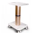 Beauty Salon Trolley  Aesthetic Metal Cart |APRILFACE 