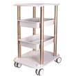 Salon Furniture 4 wheel Beauty Trolley Cart |APRILFACE 