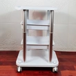 Salon Furniture 4 wheel Beauty Trolley Cart |APRILFACE 
