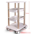 Salon Furniture 4 wheel Beauty Trolley Cart |APRILFACE 