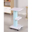 Beauty salon trolley Bracket Instrument with Basket |APRILFACE 