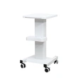 Salon Rolling Trolley Cart 