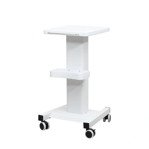 Salon Rolling Trolley Cart 