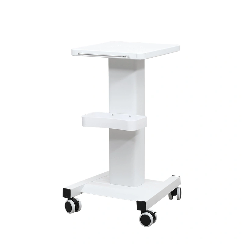 Salon Rolling Trolley Cart 