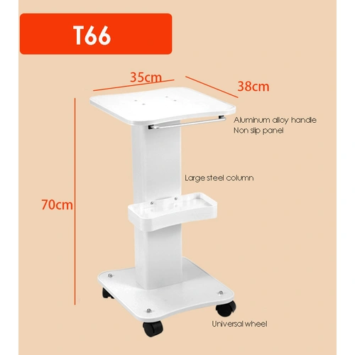 Salon Rolling Trolley Cart 