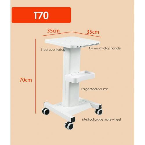 Salon Rolling Trolley Cart 