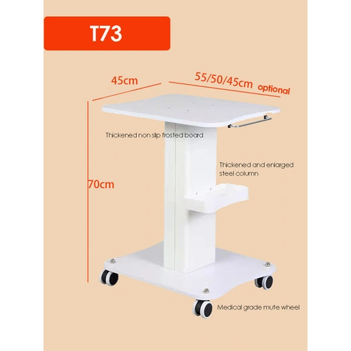 Salon Rolling Trolley Cart 