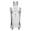 360 cryo slimming sculpting fat removal machine