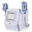 360  Kryolipolyse cryotherapy  body slimming machine