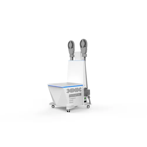 Non-invasive Muscle Stimulation EMS Pelvic Floor Machine