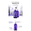 HISTOLAB WRINKLE COMPLEX AMPOULE HISTOLAB 50ML/150ML