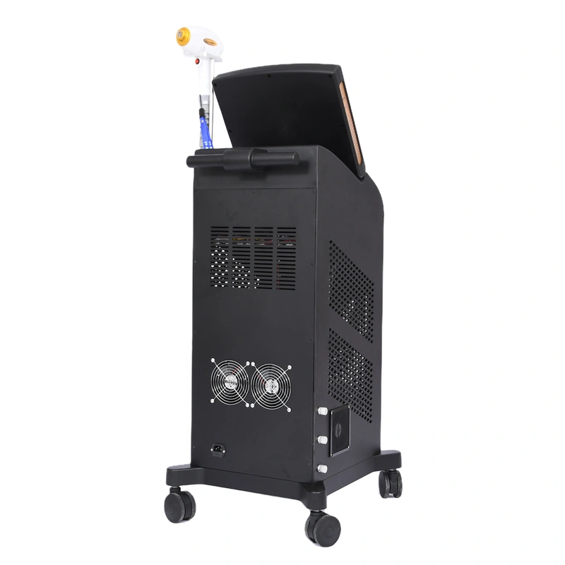 6 Bars Wavelength 808nm Permanent Equipment 