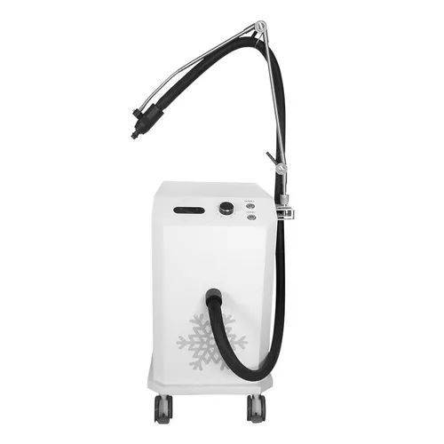 Air Cooler Skin Cooling Freezing Machine Laser Tattoo Removal Machine 