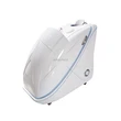 New arrival  Latest steam sauna spa beauty equipment Spa capsule 