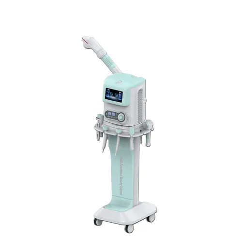 11 in 1 skin care beauty salon equipment 