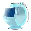 7 in 1 new smart ice blue skin management system