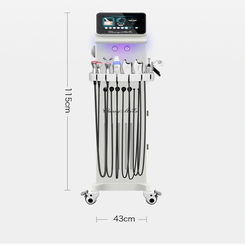 12 in 1 hydro water oxygen beauty equipment 