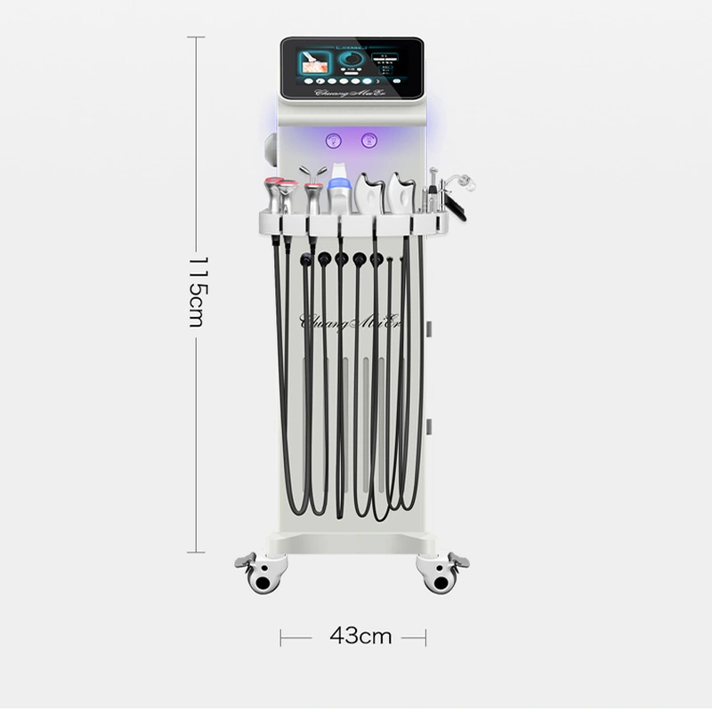 12 in 1 hydro water oxygen beauty equipment 