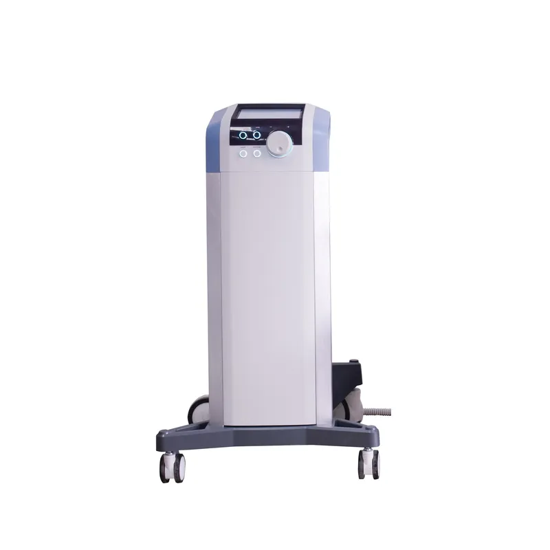 Postpartum Repair Pelvic Floor Electromagnetic Noninvasive