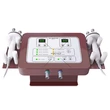 2 in 1 Professional Newest Japan Electroporation