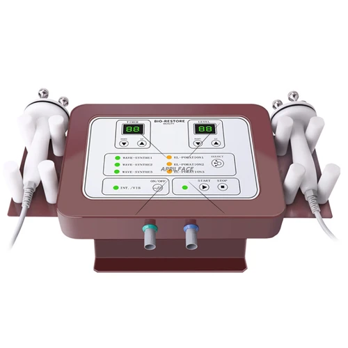 2 in 1 Professional Newest Japan Electroporation