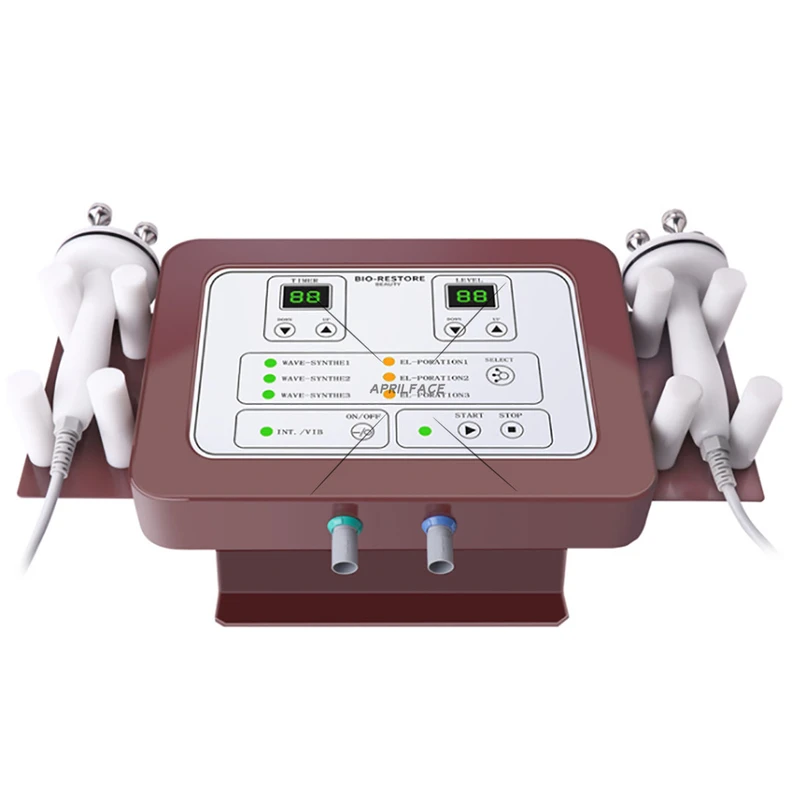 2 in 1 Professional Newest Japan Electroporation