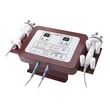 2 in 1 Professional Newest Japan Electroporation
