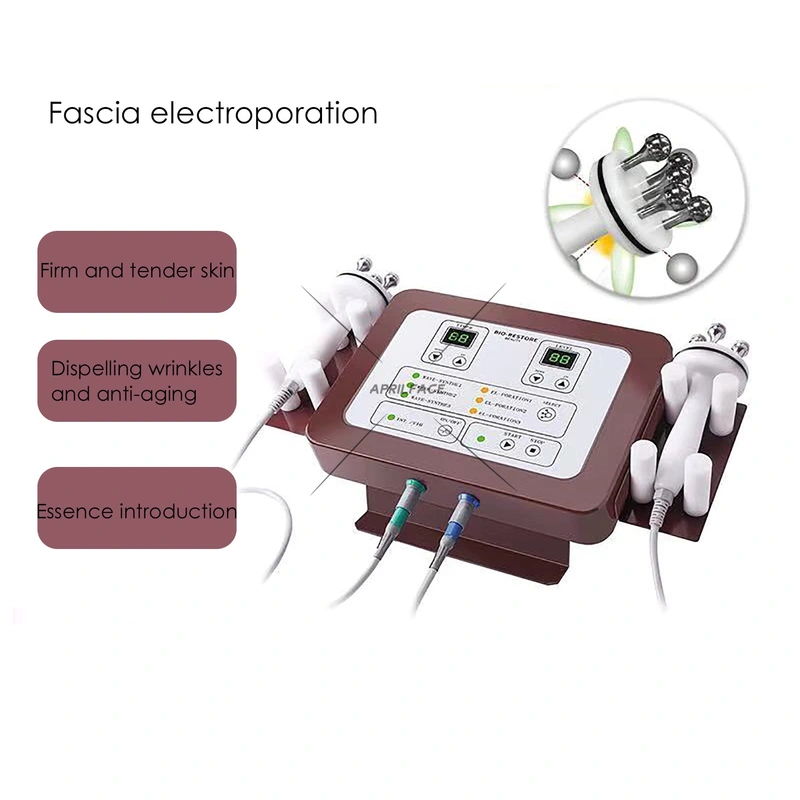 2 in 1 Professional Newest Japan Electroporation