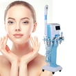 11 in 1 skin care beauty salon equipment multifunction  equipment