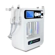 Portable 4 in 1 Oxygen Injection And Spray Therapy Facial Machine