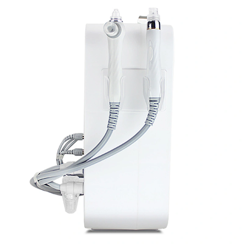 Portable 4 in 1 Oxygen Injection And Spray Therapy Facial Machine