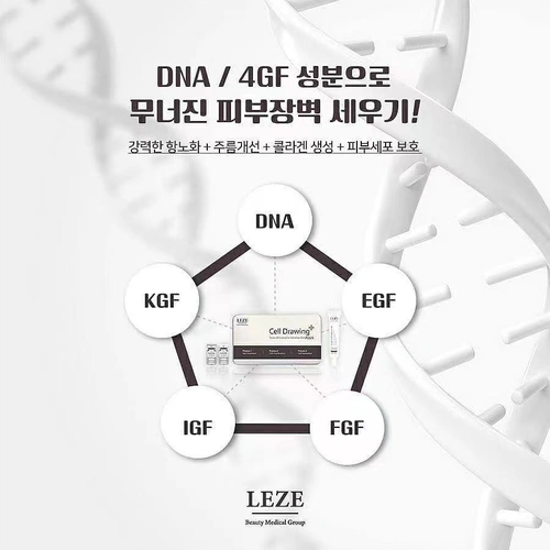 LEZE Newcell Complex Solution Kit PLUS