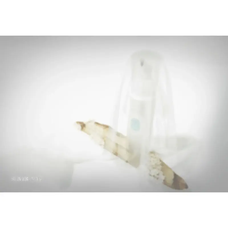 MIINJEJO TRMELLA MUSHROOM HYDRATION KIT 