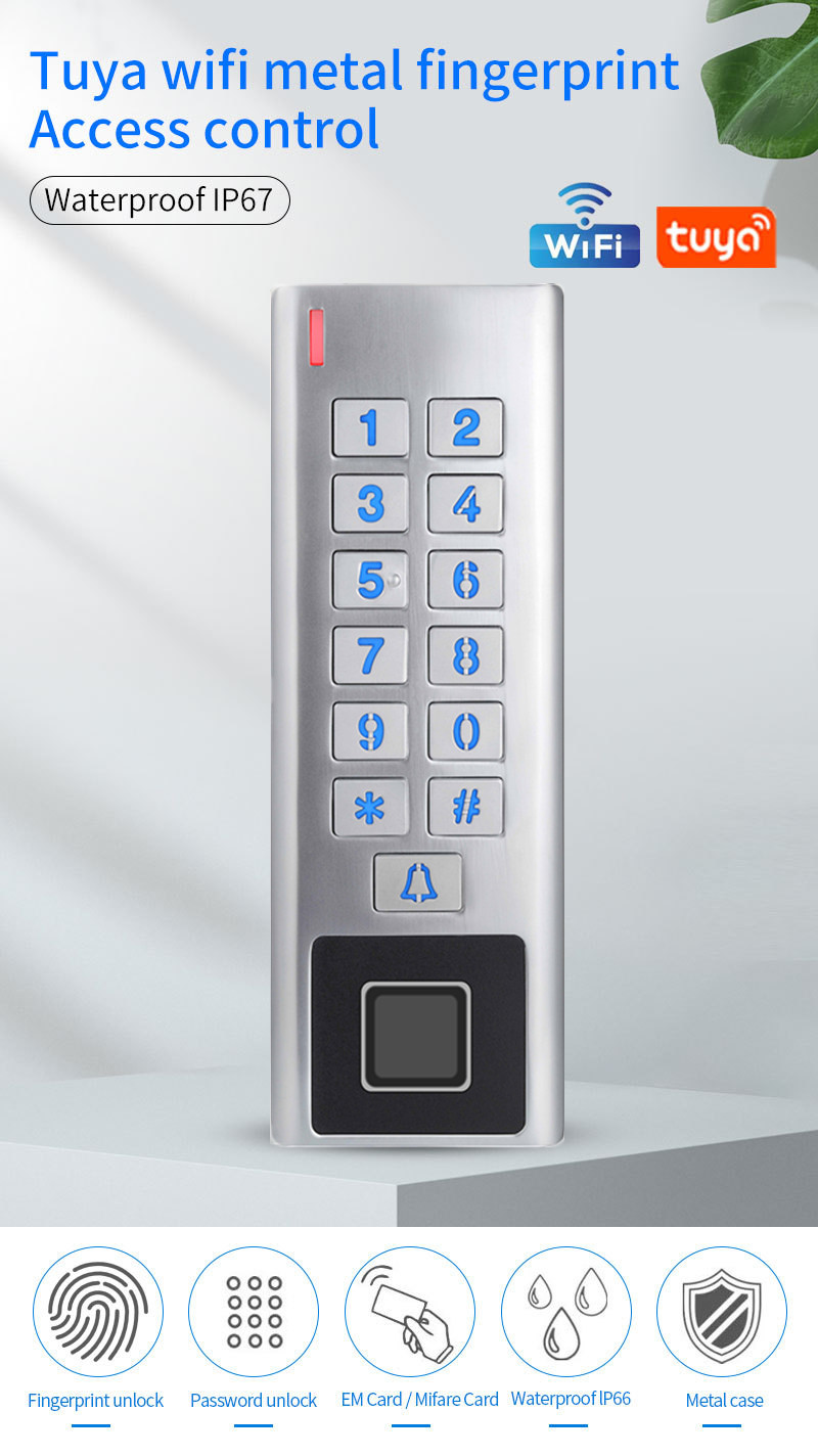 HF8.jpg