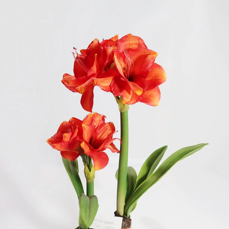 artplant, цветы ручной работы, цветы ручной работы, растения ручной работы