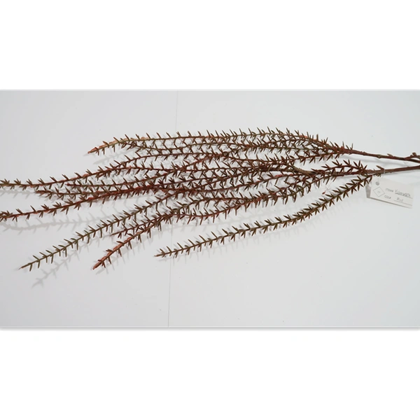 artplant, цветы ручной работы, цветы ручной работы, растения ручной работы