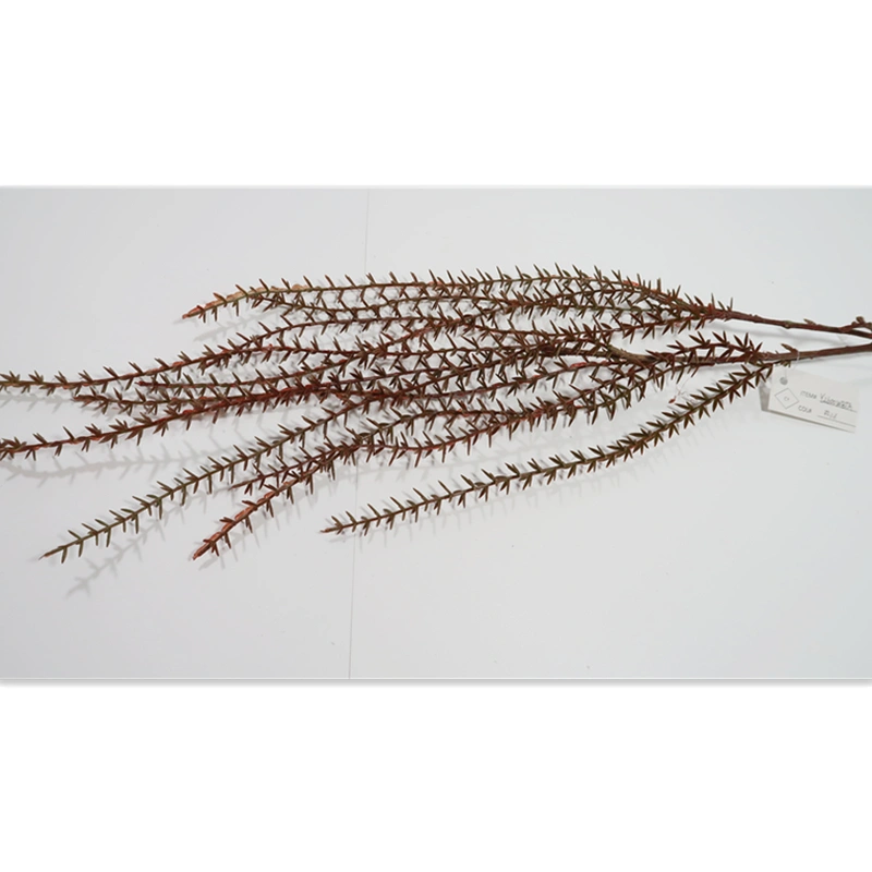 artplant, цветы ручной работы, цветы ручной работы, растения ручной работы