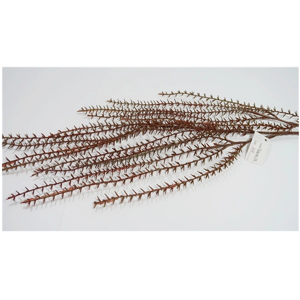 ARTPLANT,Handmade flowers, craft flowers, handmade plants