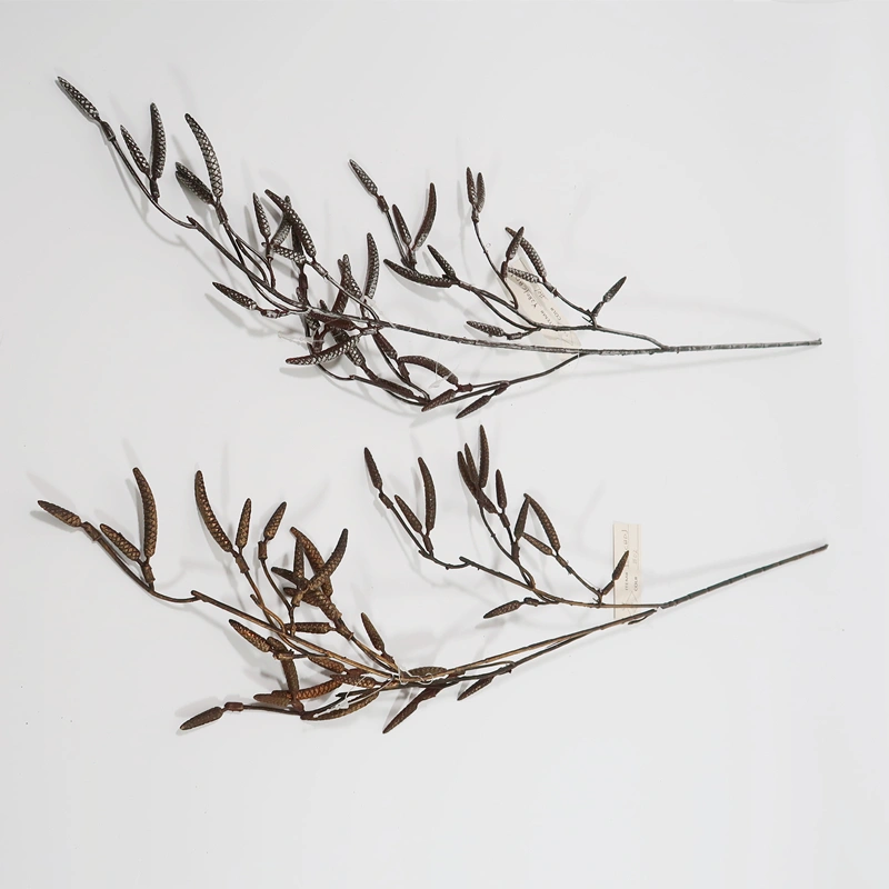 artplant, цветы ручной работы, цветы ручной работы, растения ручной работы