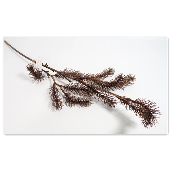 artplant, цветы ручной работы, цветы ручной работы, растения ручной работы