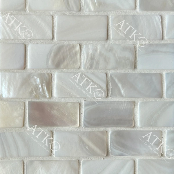  Penny Shell Mosaic/ Mother of Pearl Mosaic