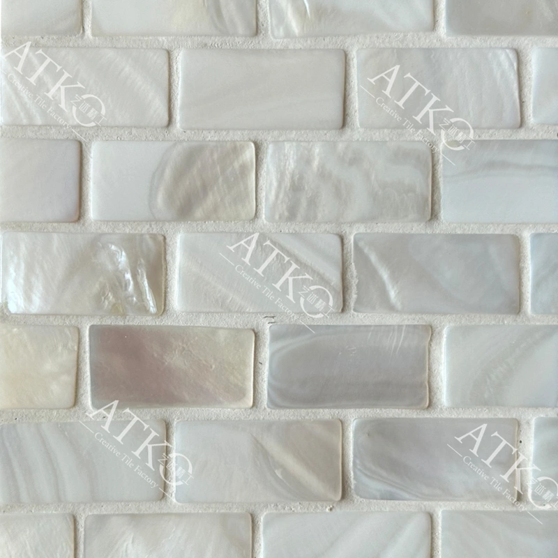  Penny Shell Mosaic/ Mother of Pearl Mosaic