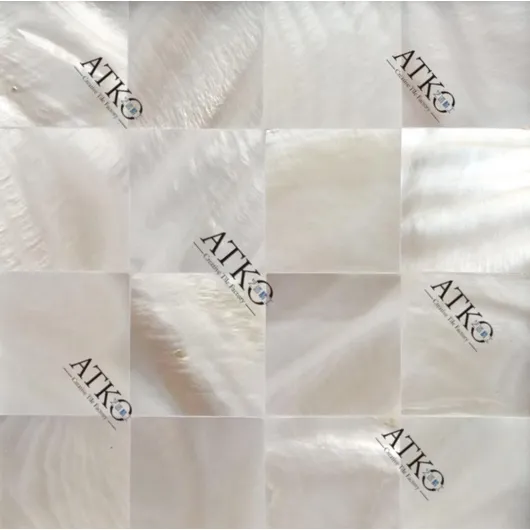 Shell Mosaic/ Mother of Pearl Mosaic AE-101